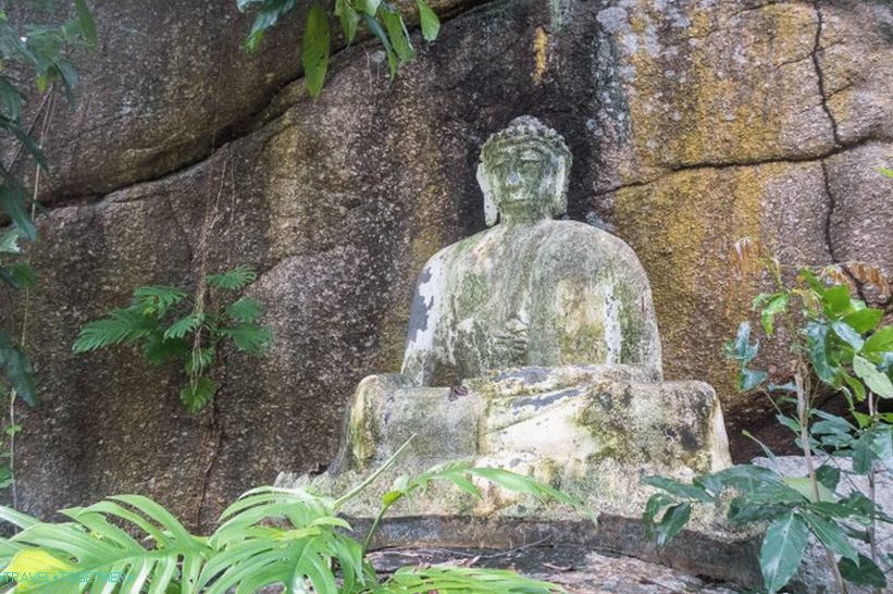 Samui Camp Bar - a legjobb hely Samui és az erdő borzalmas buddhája