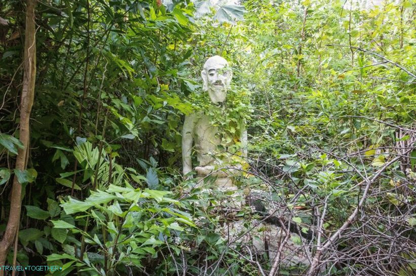 Samui Camp Bar - a legjobb hely Samui és az erdő borzalmas buddhája