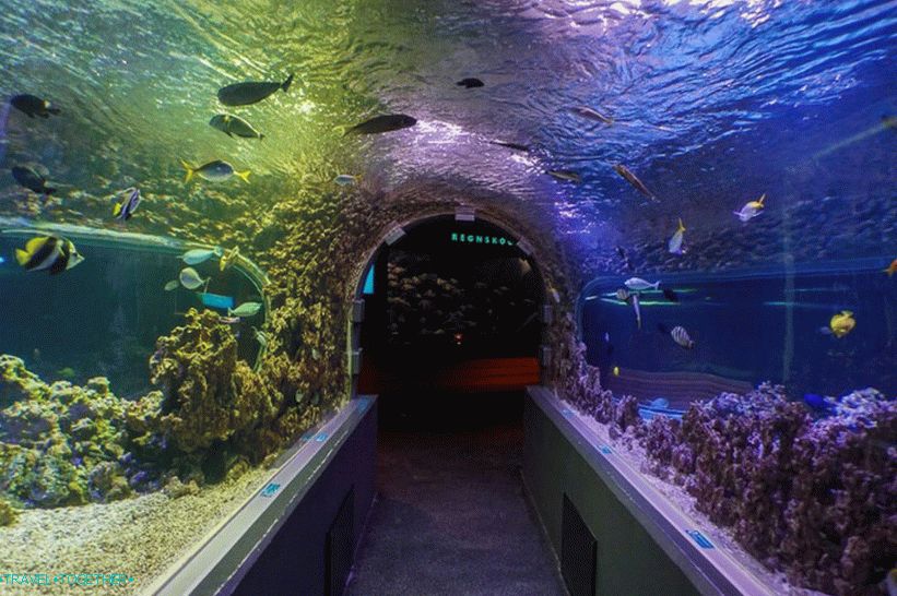 Bergen Aquarium