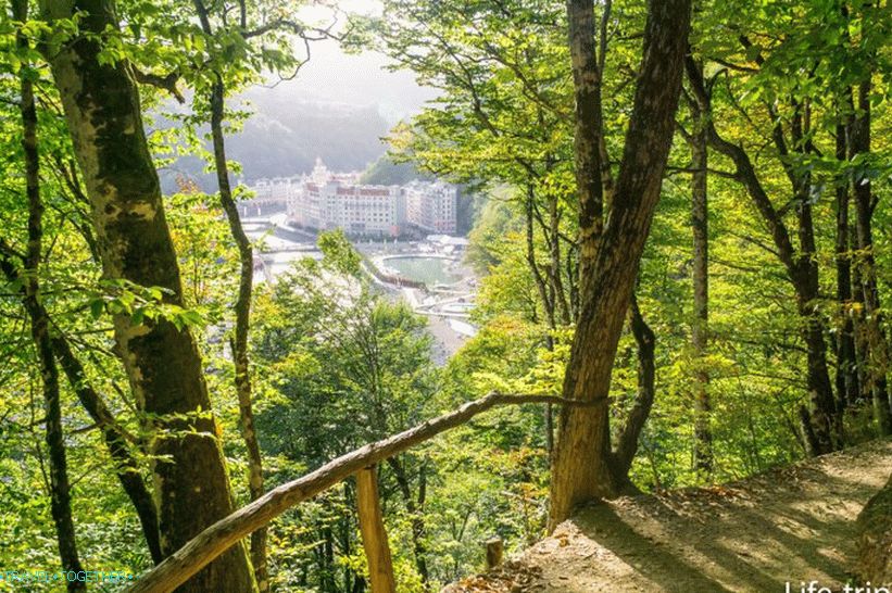 Egészségügyi út, Rosa Khutor