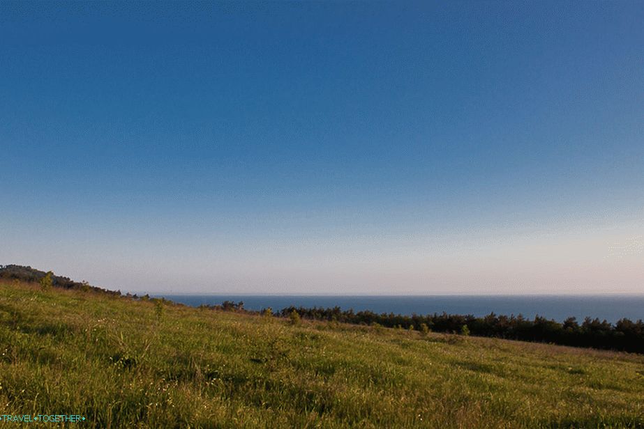 Mező a vad strandok mellett