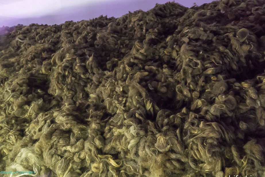 A gázkamrákban elpusztult nők haja. Körülbelül 2 tonna, majd 50 kg-ot értékesítettek 1 kg-ra
