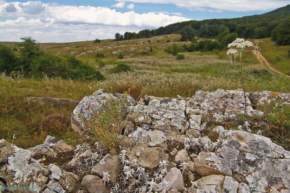 Kara-Tauba megyünk