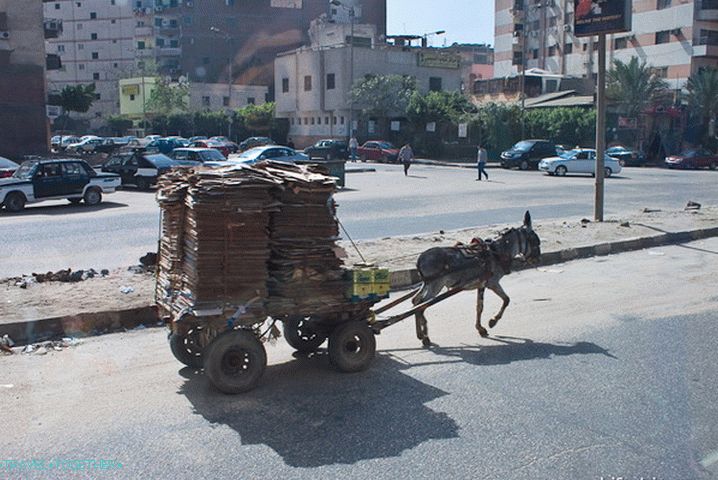 Egyiptom. Kairó. Az egyik közlekedési eszköz.