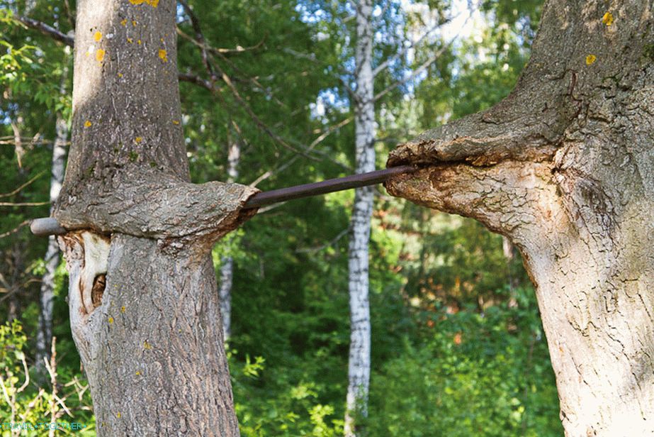 A vízszintes sáv gyakorlatilag a fákba szívódott