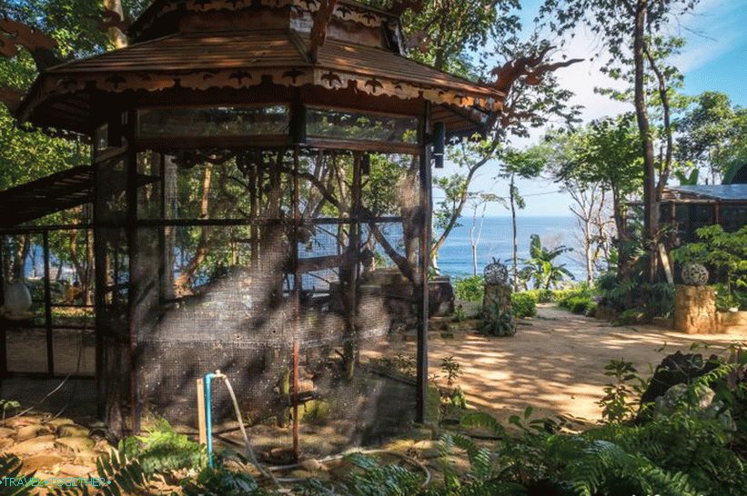 Cafe Monkey Bar a Phi Phi-ban - a bejárók és a hajnalok találkozására