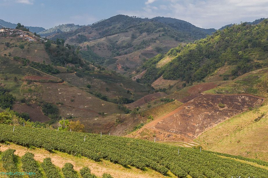 Mountain Valley in Me Salong
