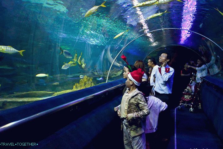 Alagút Kuala Lumpur Oceanariumban