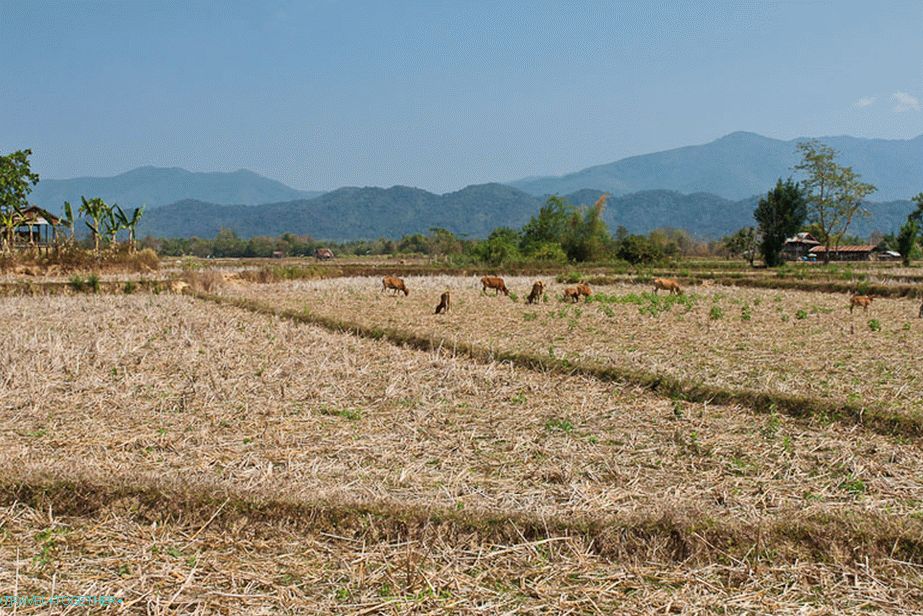 Wang Vieng környéke