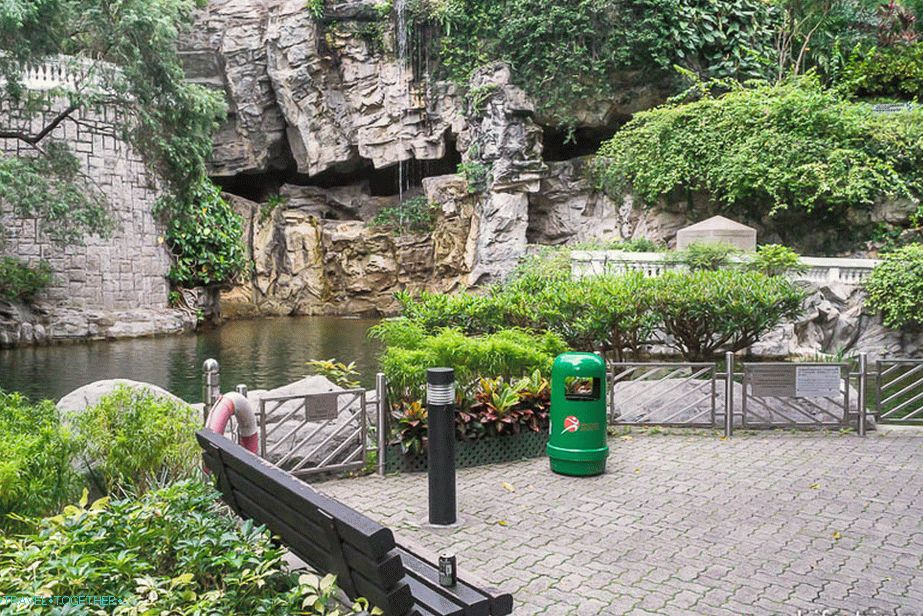 Wildlife Corner közelében