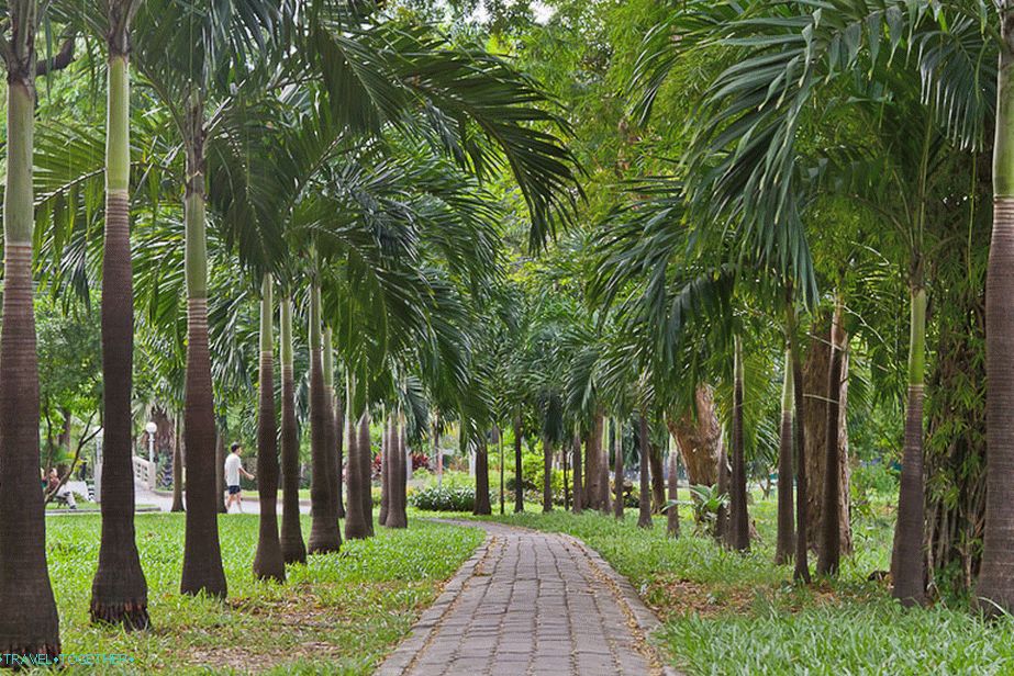 Palm Alley a Lumpini Parkban