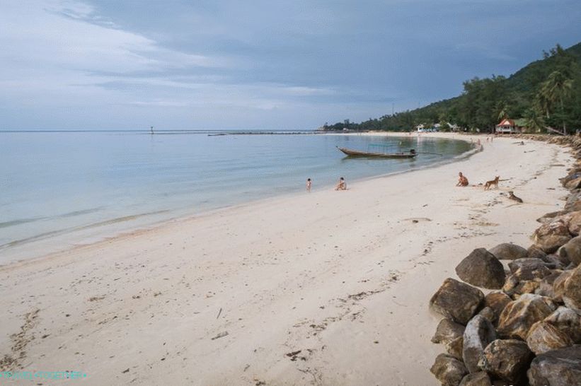 A strand közepén jött ki, ez a nézet jobbra, a folyó felé