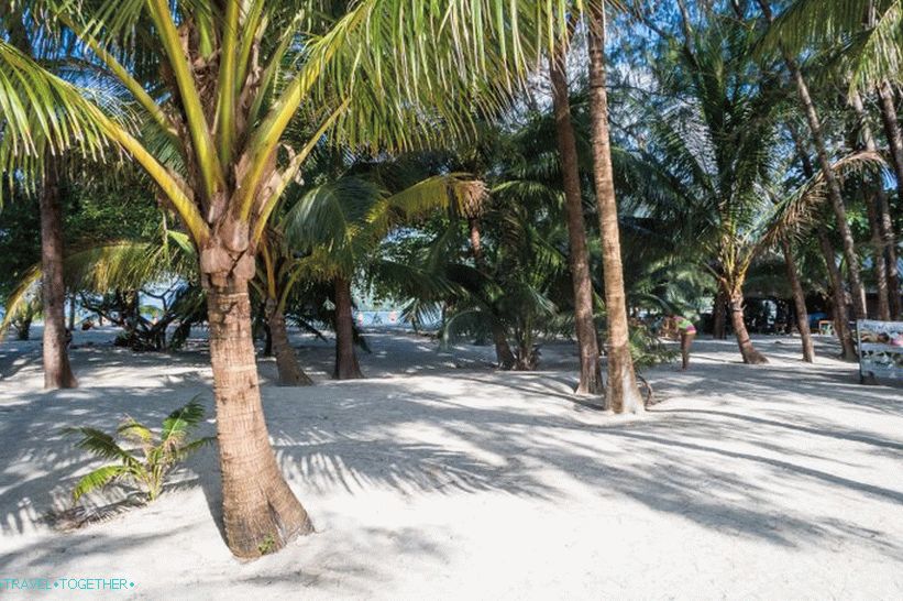 A Phanganban található Malibu strand egy fehér homokkal rendelkező pálmafák