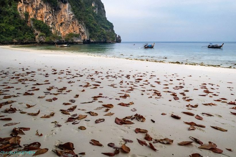 Monkey Beach Beach - Monkey Paradise a Phi Phi Don-on