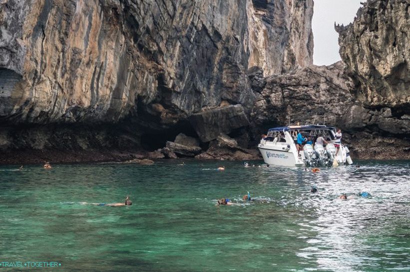 Nui strand a Phi Phi Donon - egy vaddisznó a dzsungelben