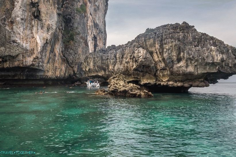Nui strand a Phi Phi Donon - egy vaddisznó a dzsungelben