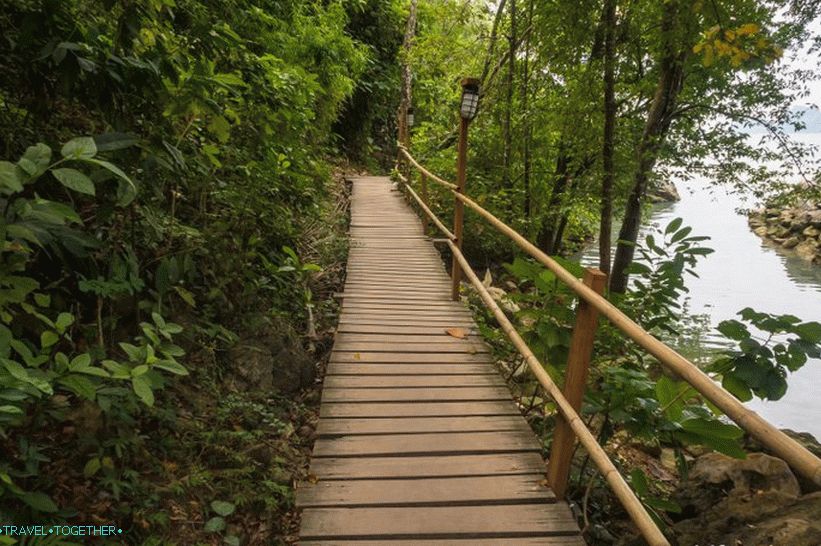 Majom Trail kezdődik elég civilizált