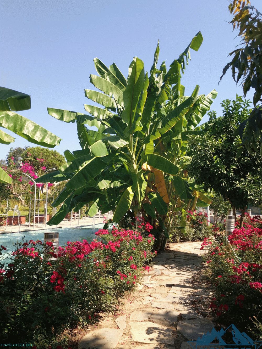 Kemer botanikus kert