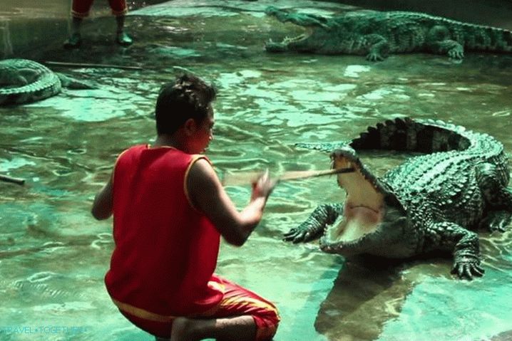 Samui krokodil farm