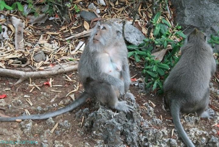 Nha Trang, Monkey Island. Gyermekek