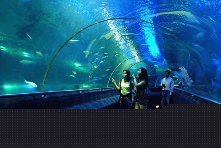 Vietnam Phu Quoc Vinpearl Park