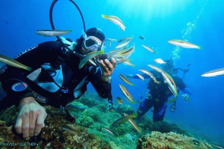 Vietnam Phu Quoc búvárkodás