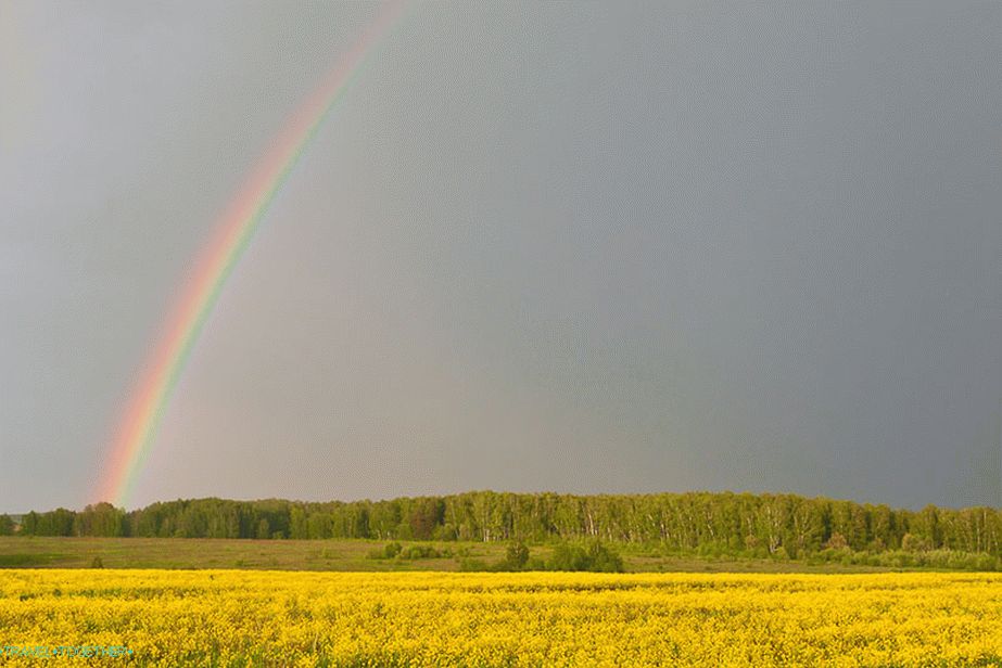 A színek lázadása az eső után