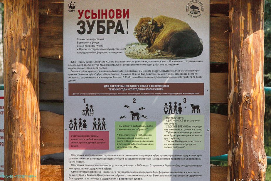 Bárki tartalmazhat bölényt - 50 ezer évente