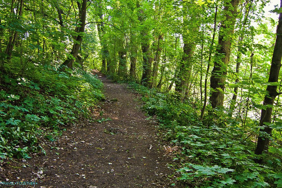 Linden Alley a birtok közelében