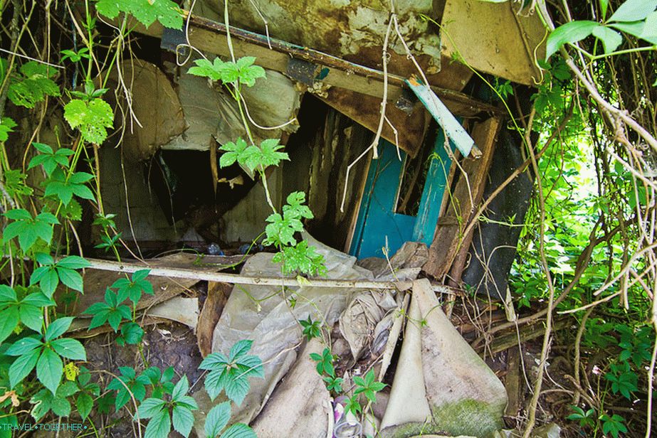 Kiderült, hogy valamiféle benőtt és elpusztult dacha szerkezet