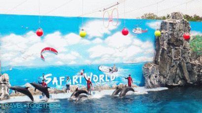 Szórakozás a Jomtien-ban - Dolphin World Pattaya