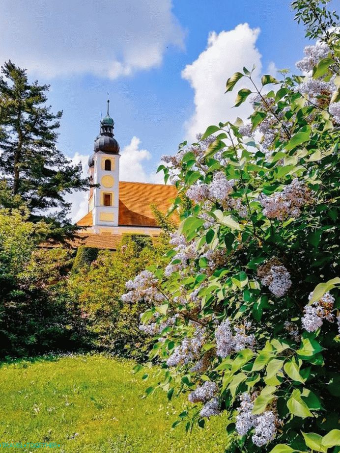 Telc