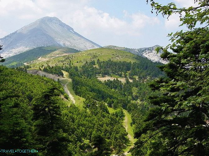 Nyugodt pihenés Evia szigetén (Evia)