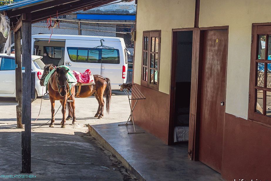 Minden olyan, mint egy valódi faluban - a lovak a helyiség közelében legelnek