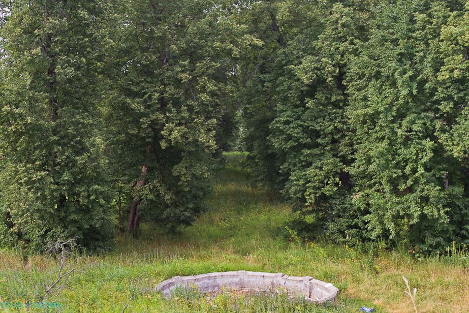 A folyóhoz vezető Linden Alley