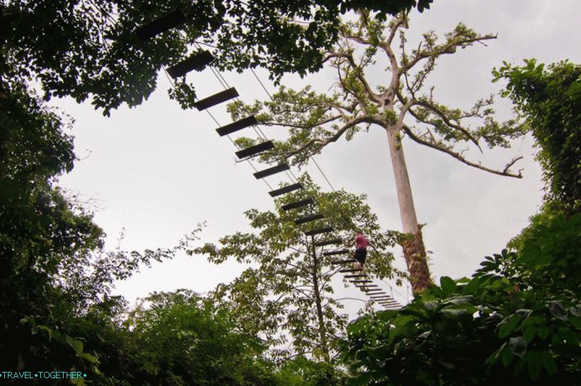 A ziplines vezetői útja