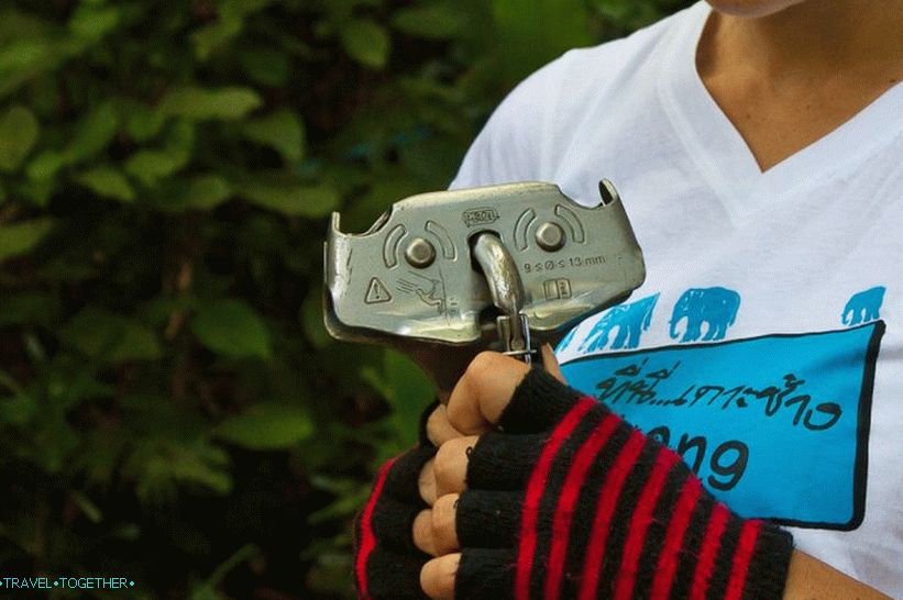 Film a zip-vonalú fák repülésére
