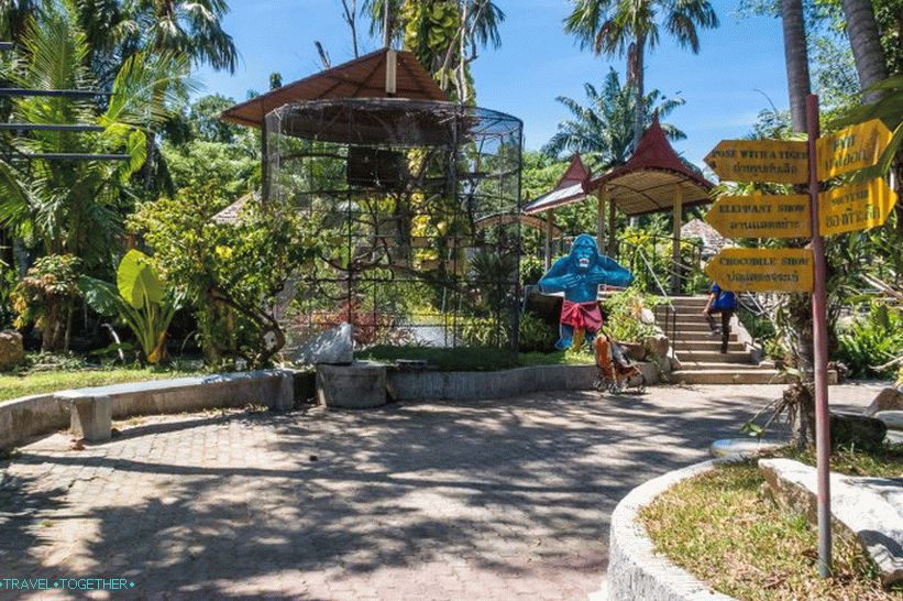 Phuket állatkert - felülvizsgálatom, árak, fényképek és a show ütemezése