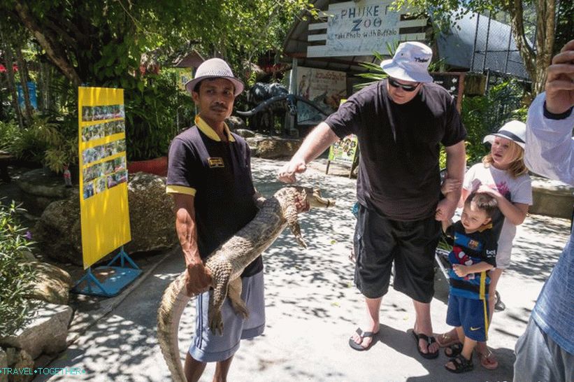 Phuket állatkert - felülvizsgálatom, árak, fényképek és a show ütemezése