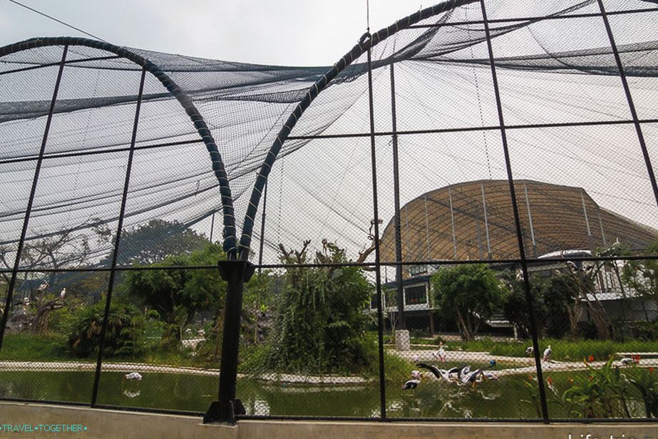 Pavilon nettó madaraknak, de nem lehet